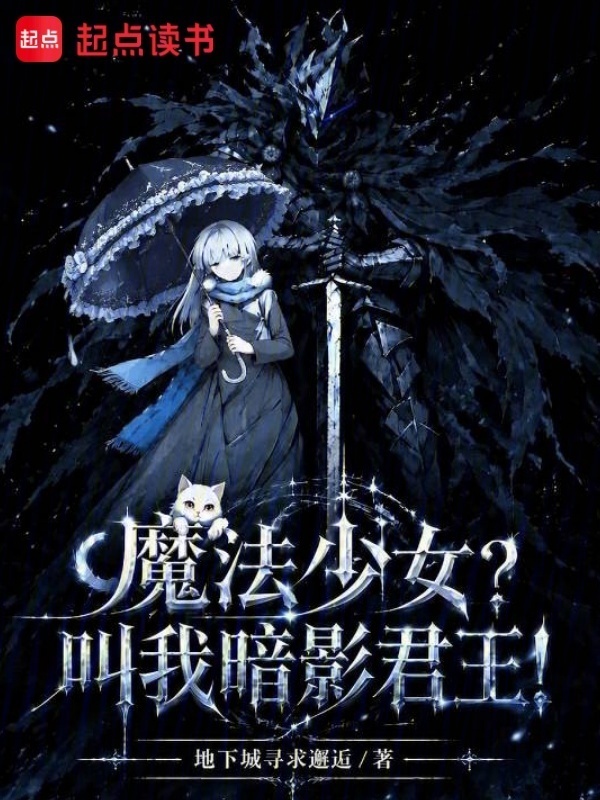 魔法少女？叫我暗影君王！在线阅读