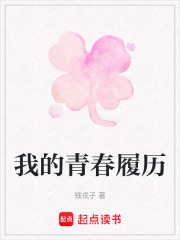 我的青春履历在线阅读