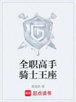 全职高手骑士王座封面