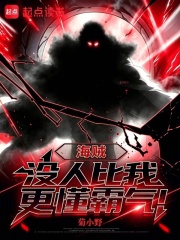 海贼：没人比我更懂霸气 封面
