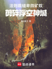 法则裁缝:卑微矿奴剪碎浮空神城 封面