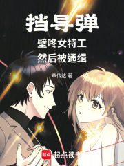 挡导弹，壁咚女特工，然后被通缉 封面