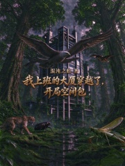 我上班的大厦穿越了，开局空间包 封面