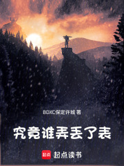究竟谁弄丢了表在线阅读