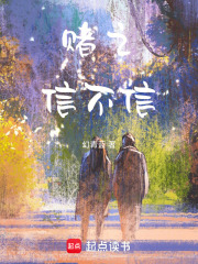 赌之信不信在线阅读