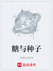 糖与种子在线阅读
