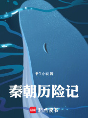 秦朝历险记 封面