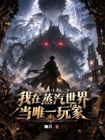 我在蒸汽世界当唯一玩家封面
