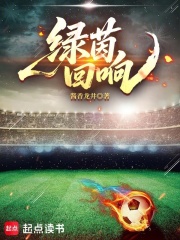 绿茵回响在线阅读