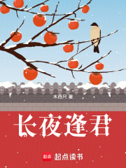 长夜逢君在线阅读