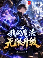 我的魔法无限升级封面