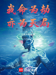 我命为劫,亦为天局 封面