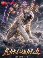 虎力大仙法力无边封面