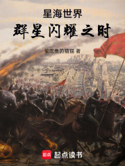 星海世界:群星闪耀之时 封面