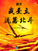 遮天，我圣主，流落北斗封面