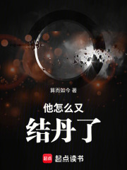他怎么又结丹了 封面