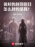 说好的封印旧日，怎么封的是我？封面