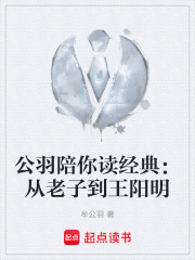 公羽陪你读经典:从老子到王阳明 封面