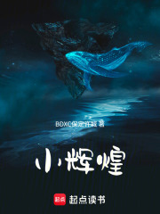 小辉煌在线阅读