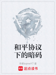和平协议下的暗码在线阅读