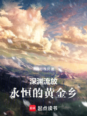深渊流放,永恒的黄金乡 封面