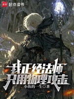我正经法师，只用物理攻击封面