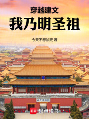 穿越建文:我乃明圣祖 封面