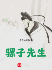 骡子先生 封面