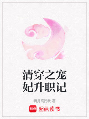 清穿之宠妃升职记在线阅读