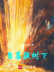 自菩提树下在线阅读