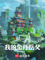 我的金丹岳父 封面
