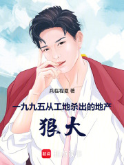 一九九五:从工地杀出的地产狠大 封面