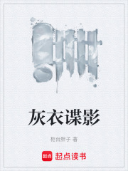 灰衣谍影在线阅读