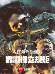 人在海外当佣兵，靠微操立规矩在线阅读