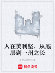 人在美利坚，从底层到一州之长 封面