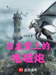 白龙背上的电磁炮 封面
