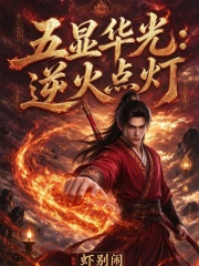 五显华光:逆火点灯 封面