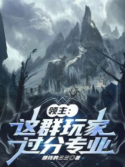 领主:这群玩家过分专业 封面