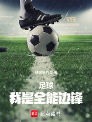 足球，我是全能边锋！在线阅读