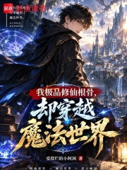 我极品修仙根骨，却穿越魔法世界 封面