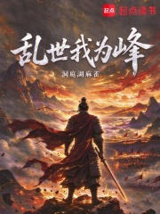 乱世我为峰 封面