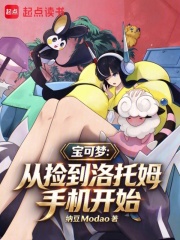 宝可梦：从捡到洛托姆手机开始 封面