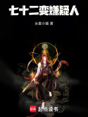 七十二变嫌疑人 封面