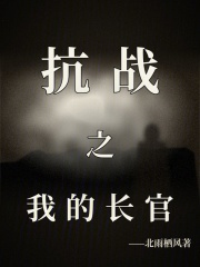 抗战之我的长官在线阅读