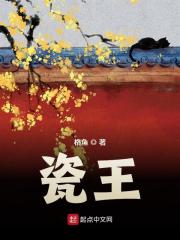 瓷王在线阅读