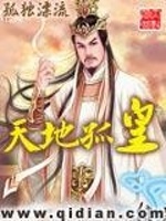 天地孤皇封面
