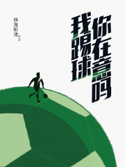 我踢球你在意吗在线阅读