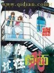 爱情就在前面飞在线阅读