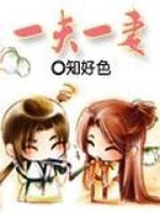 一夫一妻在线阅读