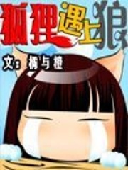 狐狸遇上狼在线阅读